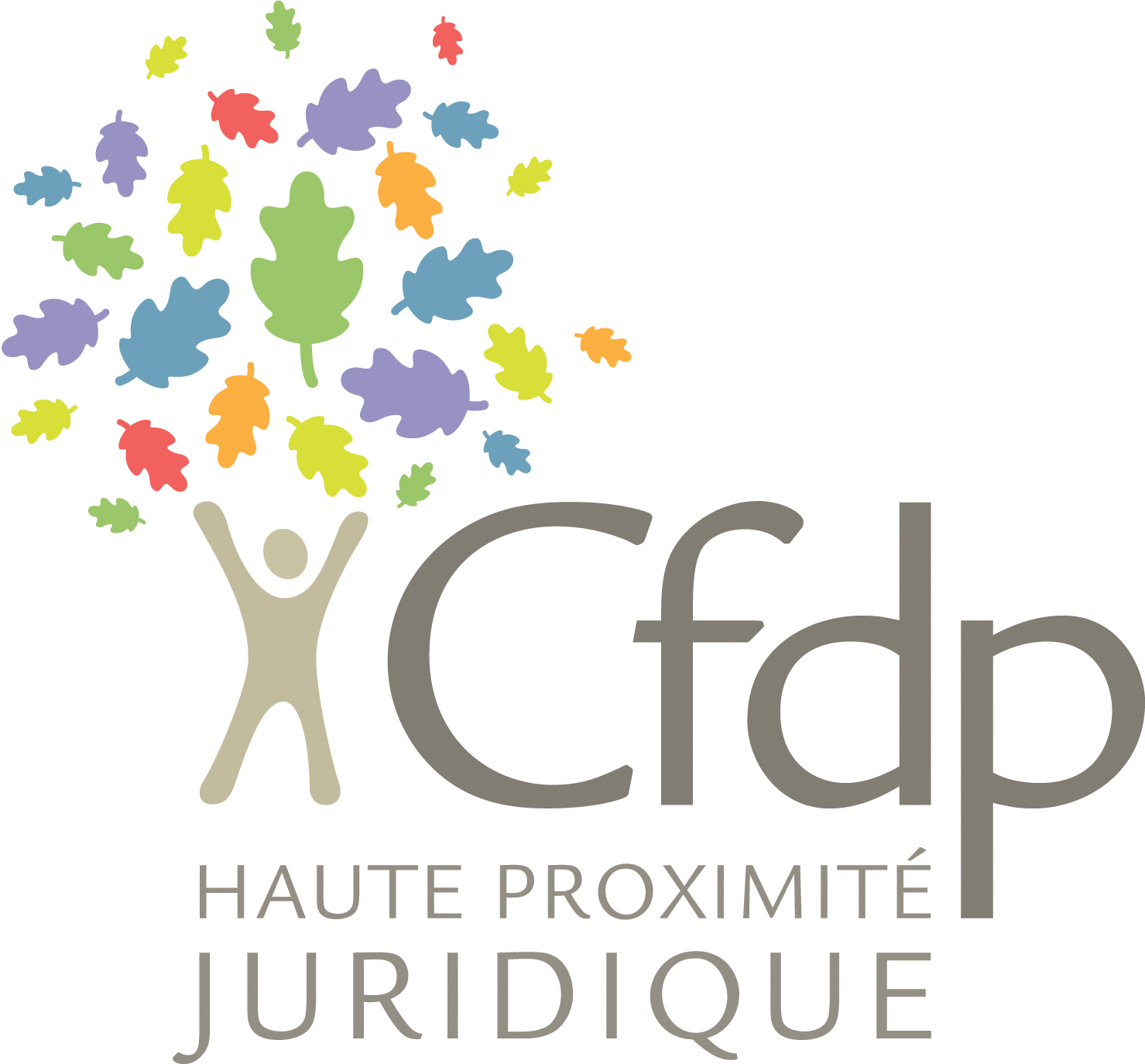 logoCFDP